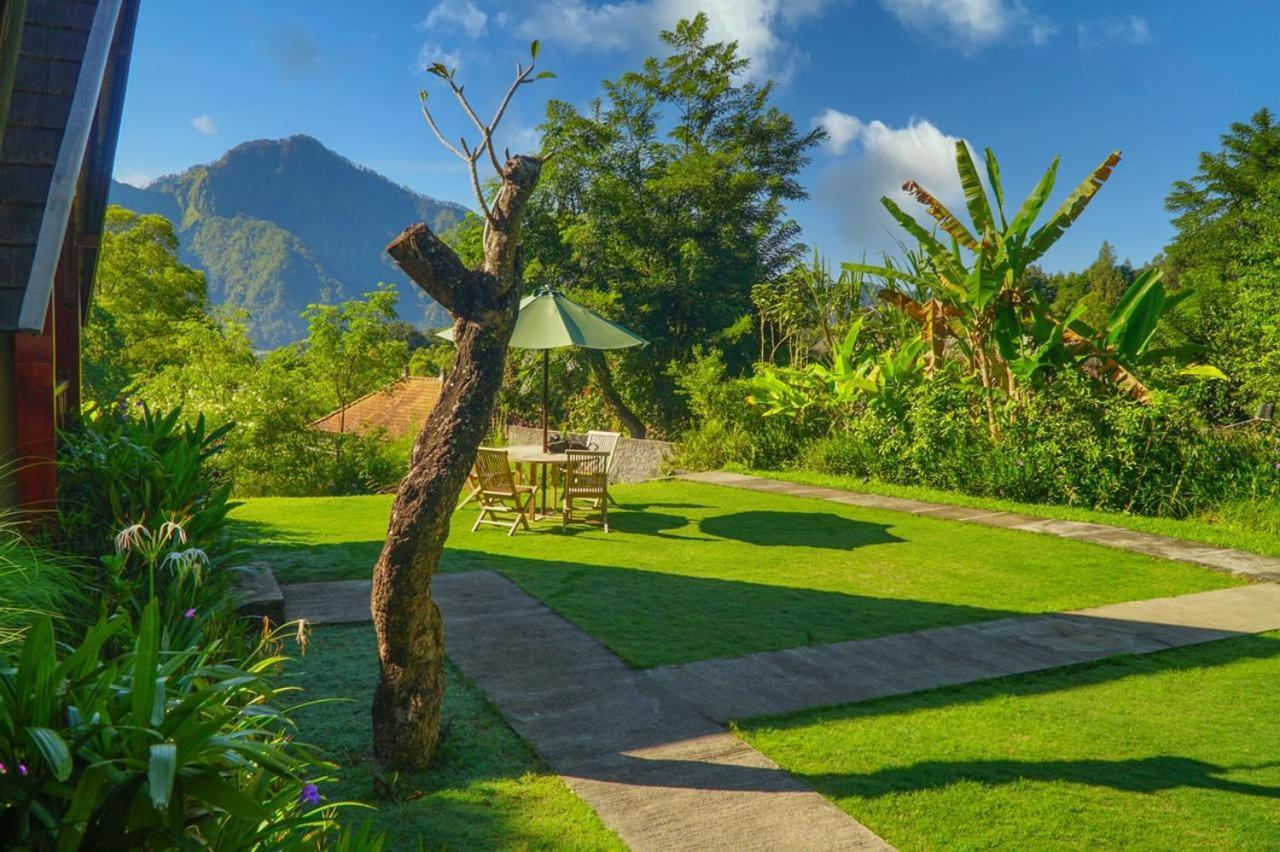 Hotel Bintang House à Kintamani Extérieur photo